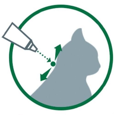 ADVANTAGE 40 - 6 pipettes antiparasitaires - Pour chat et lapin de moins de 4kg