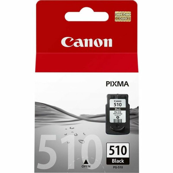 Cartouche d'encre originale Canon 2970B001            