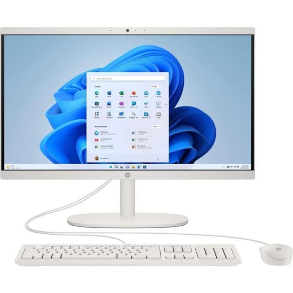 PC Tout-en-un HP 22-dg0000nf - 21,5 FHD - Intel N100 - RAM 8Go - Stockage 256Go - Windows 11 - Clavier  souris filaires