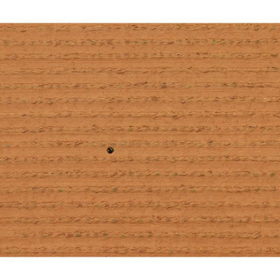 Gazon - EXELGREEN - 124414 - Natura 2D - 38mm / 1 x 5 m