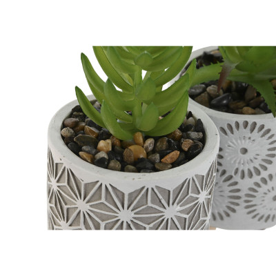 Plante décorative Home ESPRIT Polyéthylène Ciment 6,5 x 6,5 x 11 cm (3 Unités) Plante décorative Home ESPRIT Polyéthylène Ciment 6,5 x 6,5 x 11 cm (3 Unités)