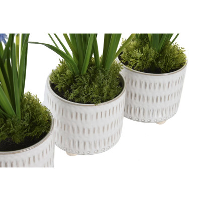 Plante décorative DKD Home Decor Mousse Bleu Rose Jaune polypropylène 15 x 15 x 30 cm (3 Pièces) Plante décorative DKD Home Decor Mousse Bleu Rose Jaune polypropylène 15 x 15 x 30 cm (3 Pièces)