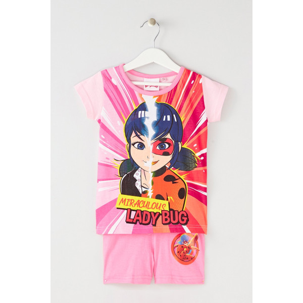 Ensemble ladybug