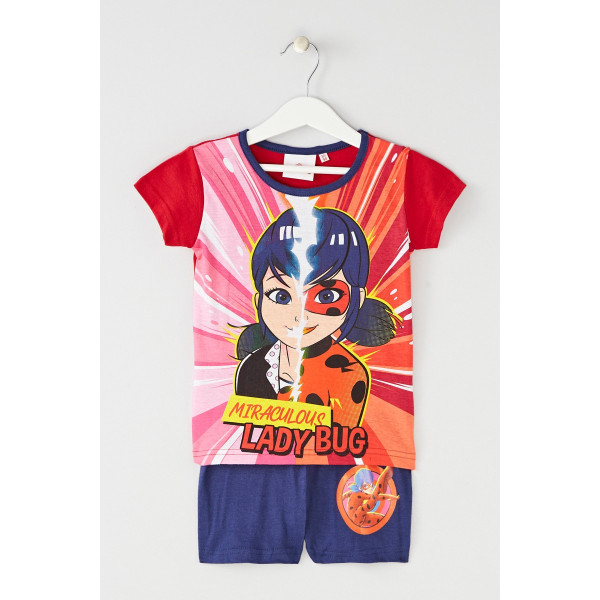 Ensemble ladybug