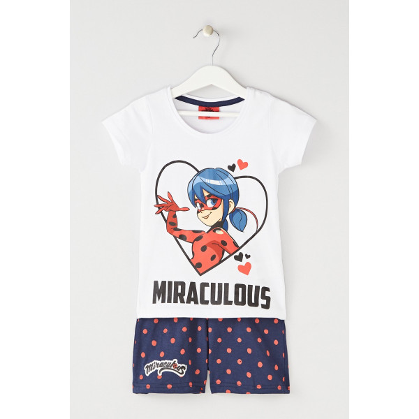 Ensemble ladybug