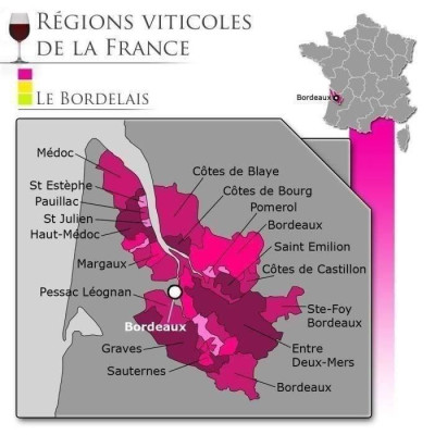 Dourthe N1 Blanc Bordeaux - Vin blanc de Bordeaux