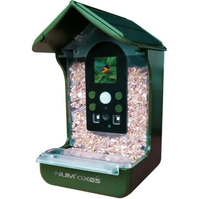 Mangeoire / abreuvoir pour oiseaux avec caméra intégrée - NUM'AXES - CAM1074 - 120  - Vert