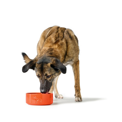 Mangeoire pour chiens Hunter OSBY Orange Céramique 1,1 L