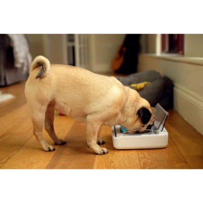SUREFLAP Distributeur automatique de nourriture - bol hermétique SureFeed - pour chats et petits chiens