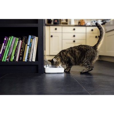 SUREFLAP Distributeur automatique de nourriture - bol hermétique SureFeed - pour chats et petits chiens