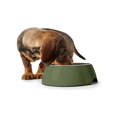 Mangeoire pour chiens Hunter Vert 160 ml