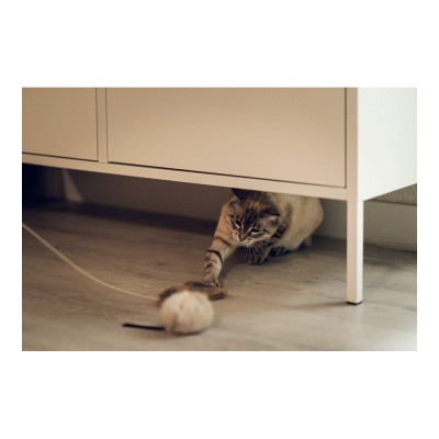 Jouet pour chats Gloria Renzo Souris Cuir Peau naturelle
