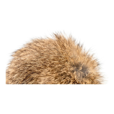 Canne à chat Gloria Rogers Cuir Pompon Peau naturelle (12 cm)