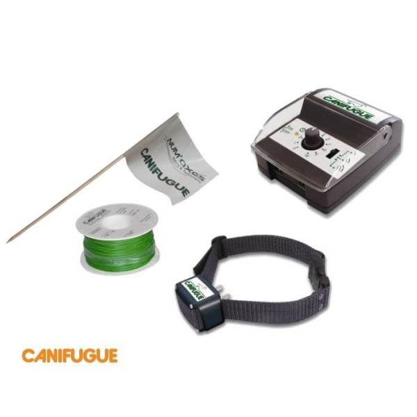 CANIFUGUE Clôture et collier anti-fugue pour chien