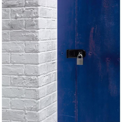 Cadenas en laiton nickelé 40mm - MASTER LOCK - Anse hexagonale - Haute sécurité - 4 clés incluses