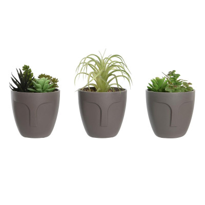 Plante décorative DKD Home Decor Gris Beige Polyéthylène Vert polypropylène (11 x 11 x 15 cm) (3 Unités) Plante décorative DKD Home Decor Gris Beige Polyéthylène Vert polypropylène (11 x 11 x 15 cm) (3 Unités)