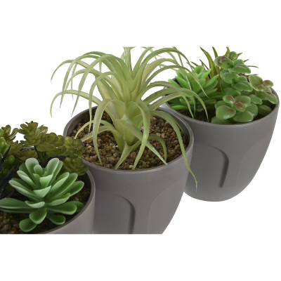 Plante décorative DKD Home Decor Gris Beige Polyéthylène Vert polypropylène (11 x 11 x 15 cm) (3 Unités) Plante décorative DKD Home Decor Gris Beige Polyéthylène Vert polypropylène (11 x 11 x 15 cm) (3 Unités)