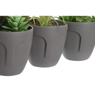 Plante décorative DKD Home Decor Gris Beige Polyéthylène Vert polypropylène (11 x 11 x 15 cm) (3 Unités) Plante décorative DKD Home Decor Gris Beige Polyéthylène Vert polypropylène (11 x 11 x 15 cm) (3 Unités)