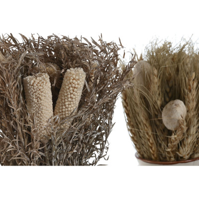 Plante décorative Home ESPRIT Fleur 13 x 13 x 25 cm (2 Unités) (12 Unités) Plante décorative Home ESPRIT Fleur 13 x 13 x 25 cm (2 Unités) (12 Unités)