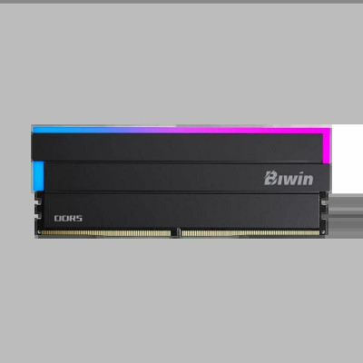 Mémoire RAM Biwin DW100 DDR5 6000 MHz 32 GB Noir