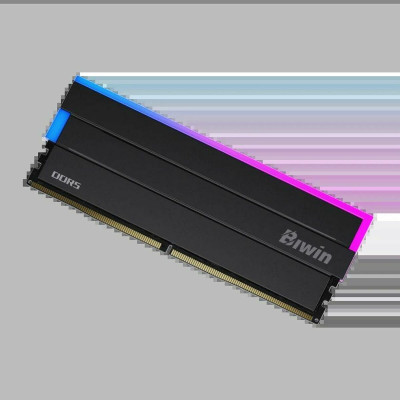 Mémoire RAM Biwin DW100 DDR5 6000 MHz 32 GB Noir